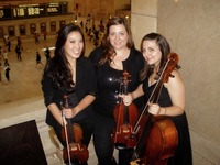 Stringcollectiveofnyc 01