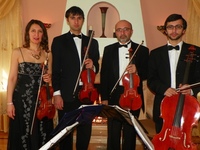 Bravo string quartet