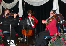 Caprice strings 04