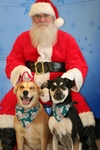 Santa earl 4