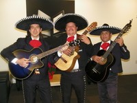 Mariachi trio estrellas de oro