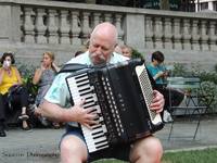Mark accordions around the world whole