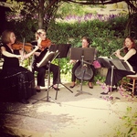 Aurora quartet
