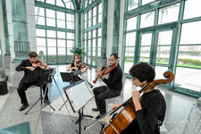 Stringquartet flagler