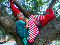 Elfintree l