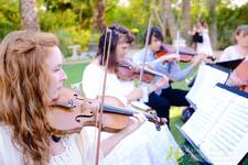 Eily ivory quartet