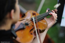 Strings2