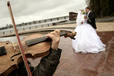 Violin stock  pic