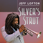 Lofton silver strut cover 3