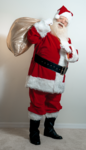 Michael sofka santafull