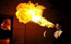 Circus act 54 5 1